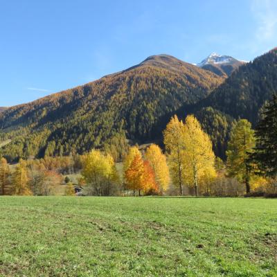 020 Herbststimmung02