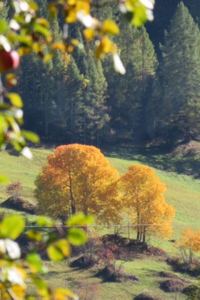 075 Herbststimmung01
