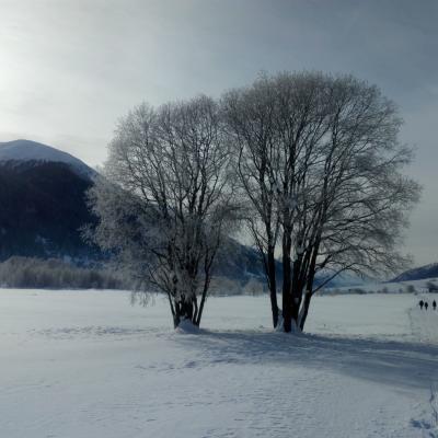 Winterlandschaft