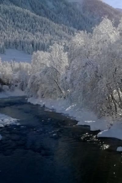 055 Am Jungen Rotten