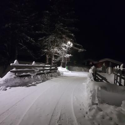 Schneebedeckte Strasse